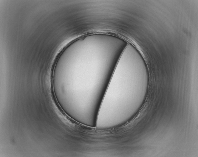 X0000112920795200908241030