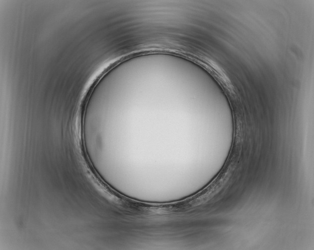 X0000112920796200908241030
