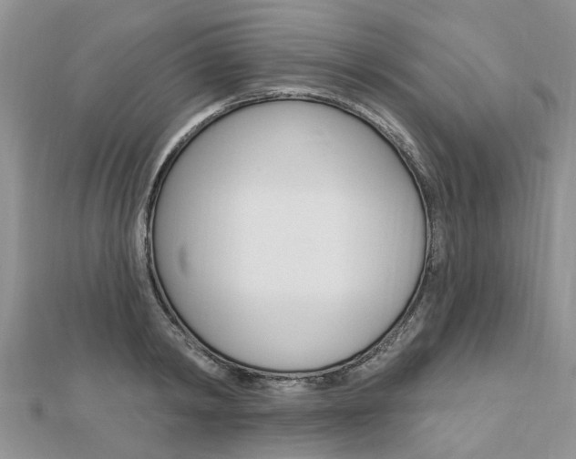 X0000112920798200908241030
