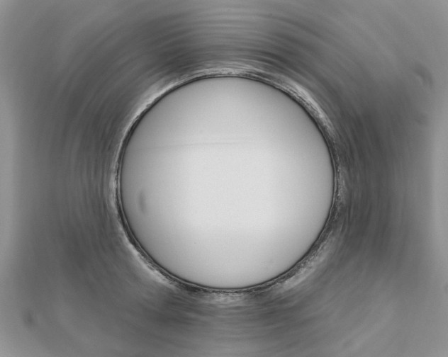 X0000112920802200908241030