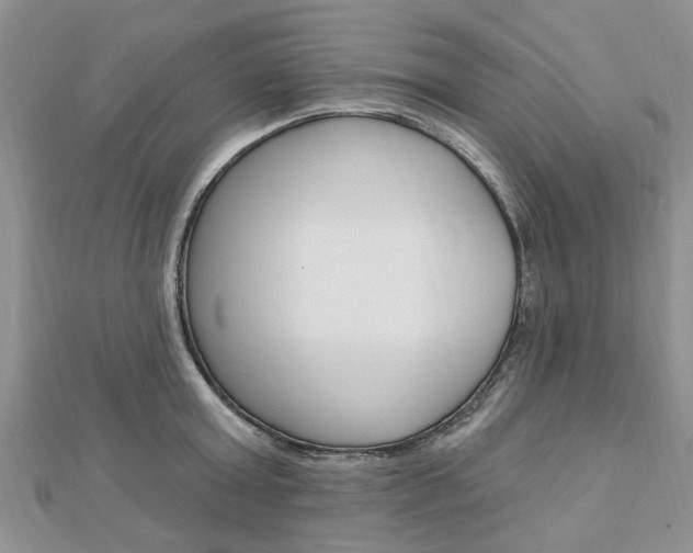 X0000112920803200908241030