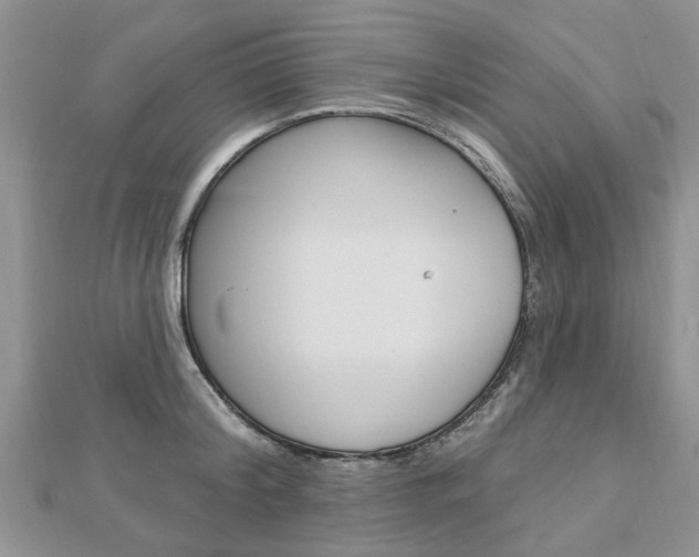 X0000112920804200908241030