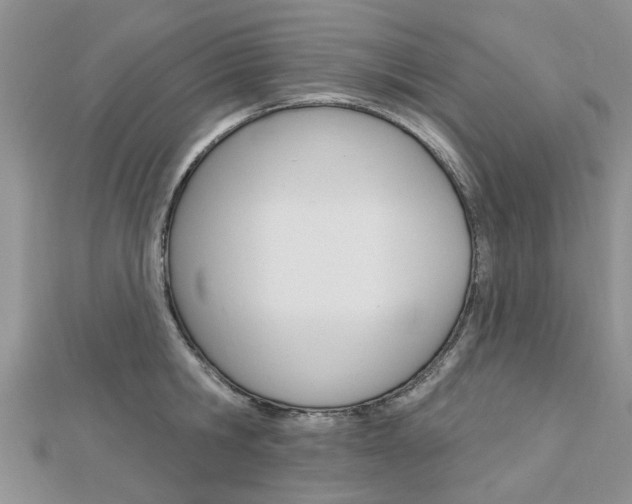 X0000112920806200908241030