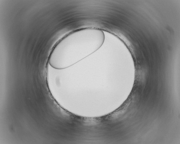 X0000112920807200908241030