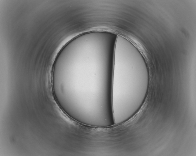 X0000112920808200908241030