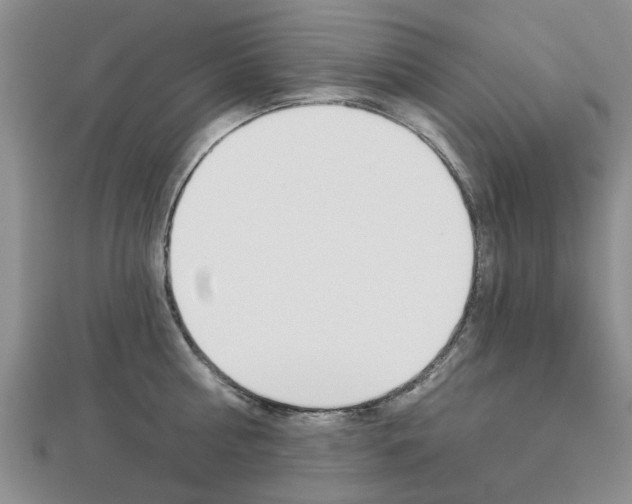 X0000112920810200908241030