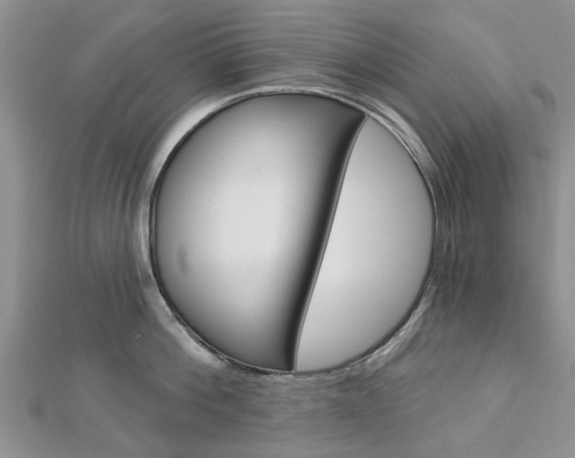 X0000112920812200908241030