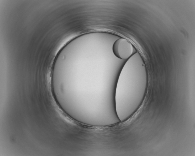 X0000112920814200908241030