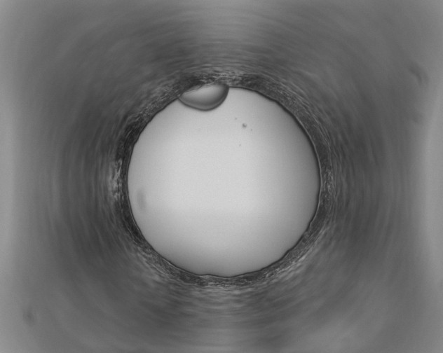 X0000112920818200908241029