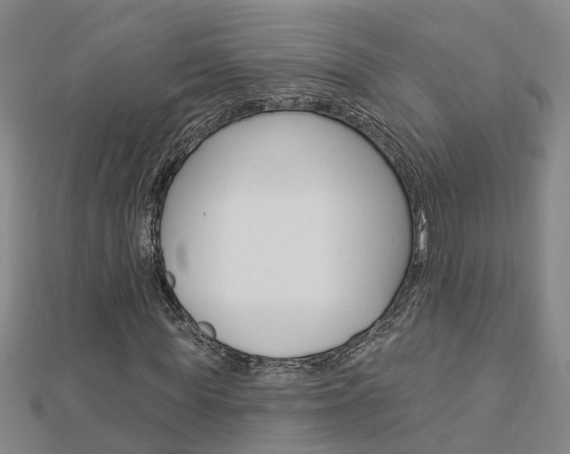 X0000112920819200908241029