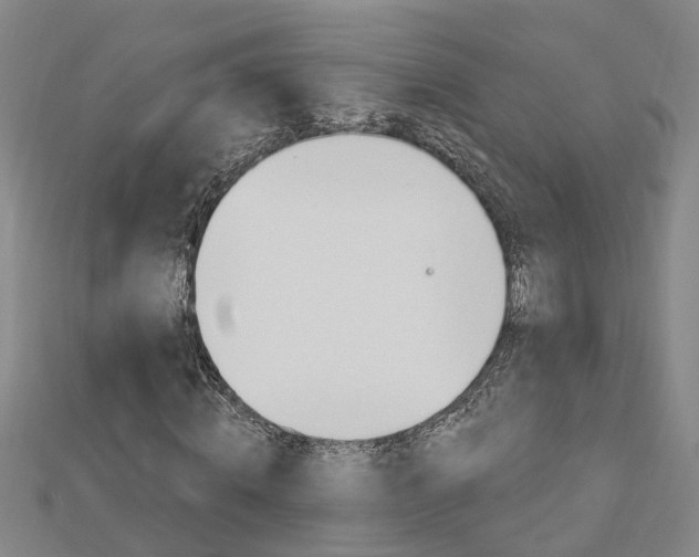 X0000112920820200908241029