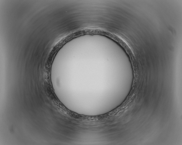 X0000112920823200908241029