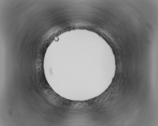 X0000112920824200908241029