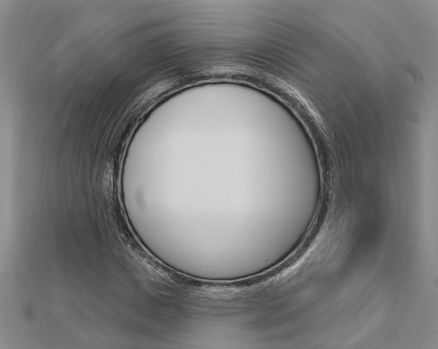 X0000112920825200908241029