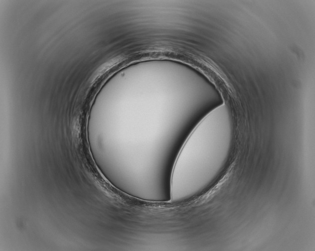X0000112920826200908241029