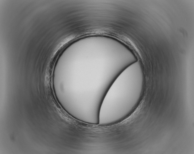 X0000112920827200908241029