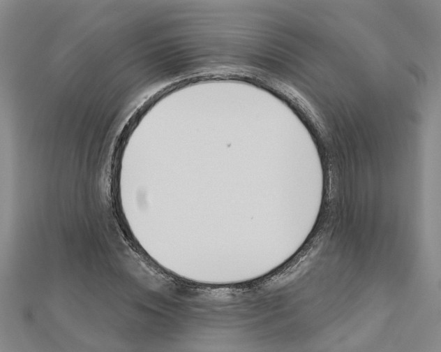 X0000112920828200908241029