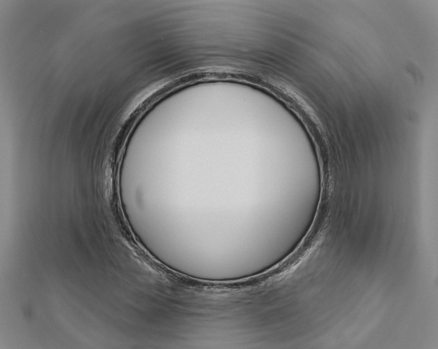 X0000112920829200908241029