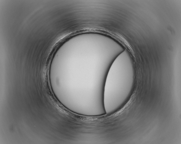 X0000112920831200908241029