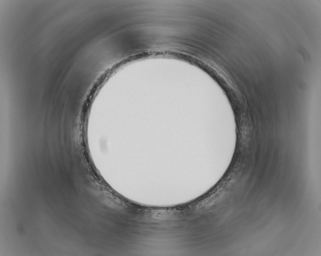 X0000112920832200908241029