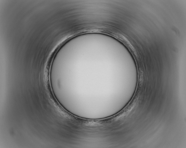 X0000112920835200908241029