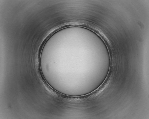 X0000112920837200908241029