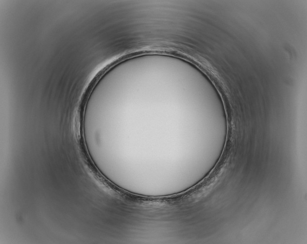 X0000112920838200908241029