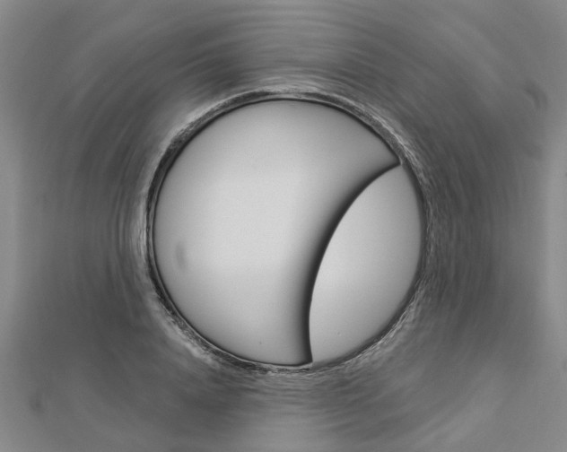 X0000112920840200908241029