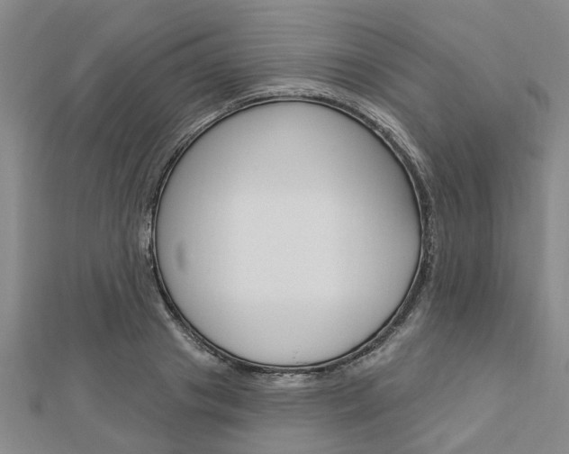 X0000112920841200908241029