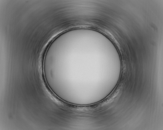 X0000112920843200908241029