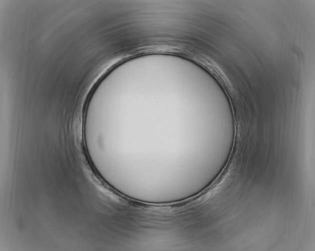 X0000112920844200908241029