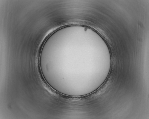 X0000112920846200908241029