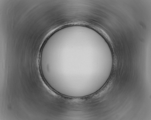X0000112920847200908241029