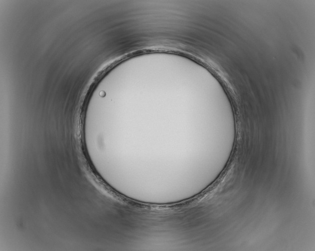 X0000112920848200908241029