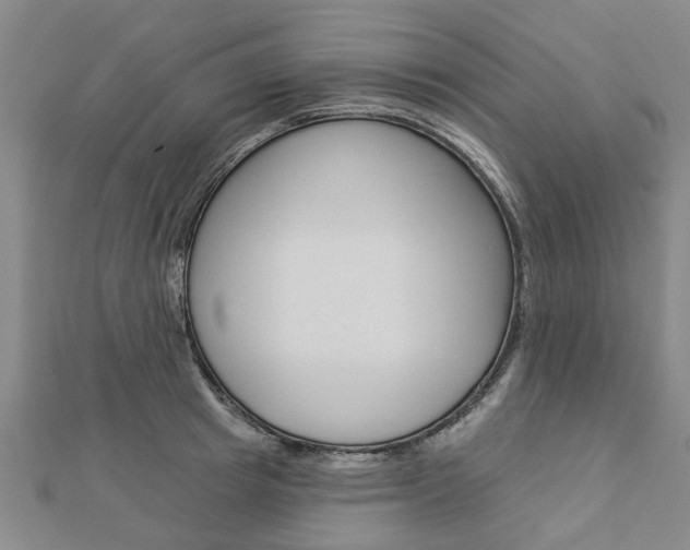 X0000112920849200908241029