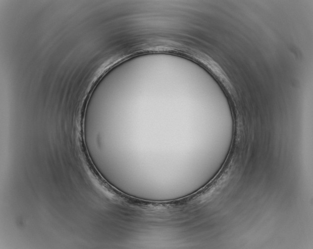 X0000112920850200908241029