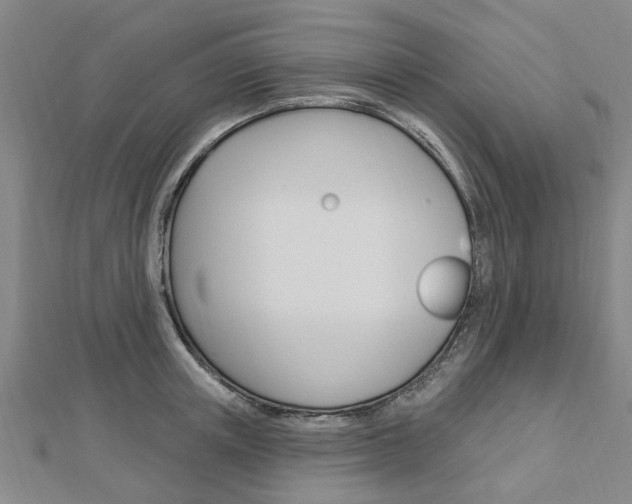 X0000112920851200908241029