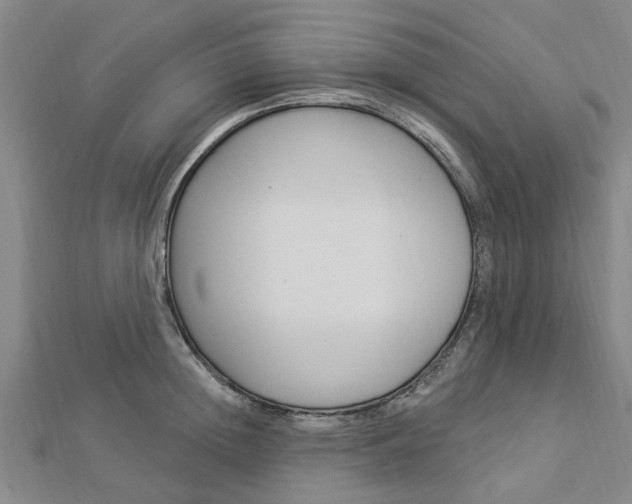 X0000112920852200908241029