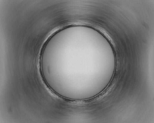X0000112920853200908241029