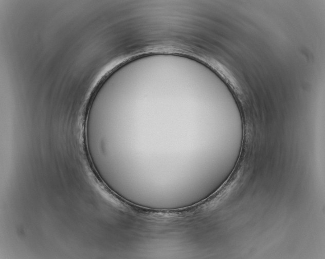 X0000112920854200908241029