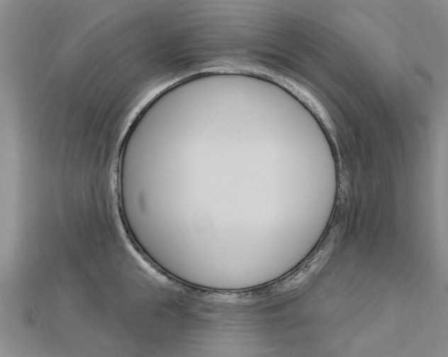 X0000112920855200908241029
