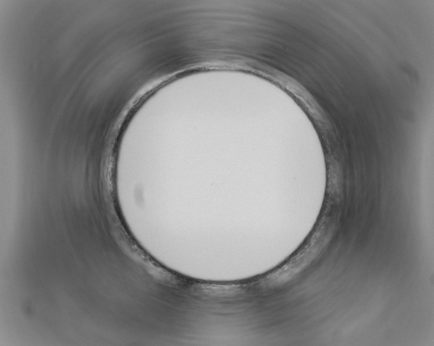 X0000112920856200908241029