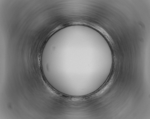 X0000112920857200908241029
