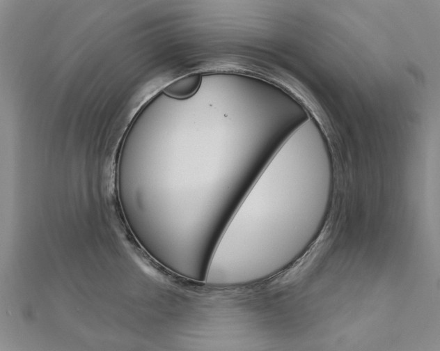 X0000112920858200908241029
