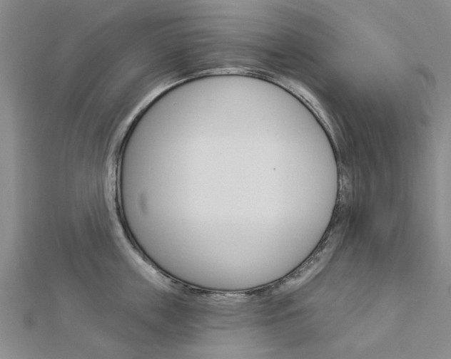 X0000112920859200908241029