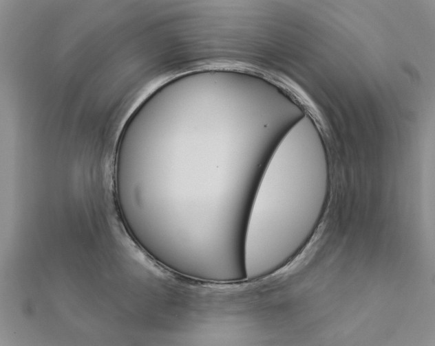 X0000112920860200908241029