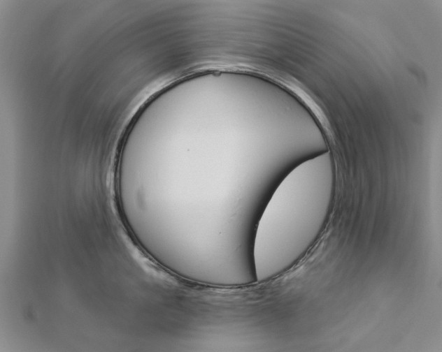 X0000112920861200908241029