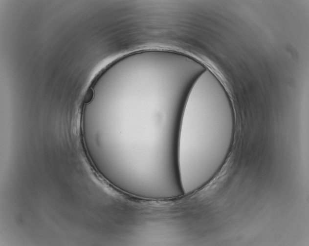 X0000112920862200908241029