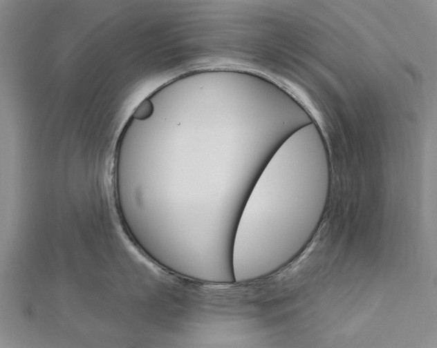 X0000112920863200908241029