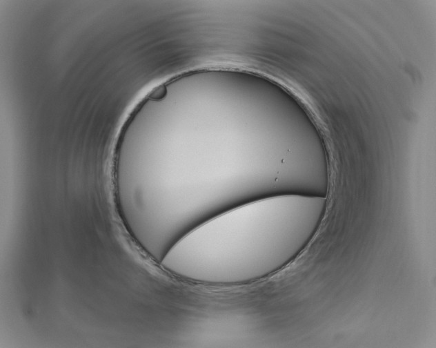 X0000112920864200908241029